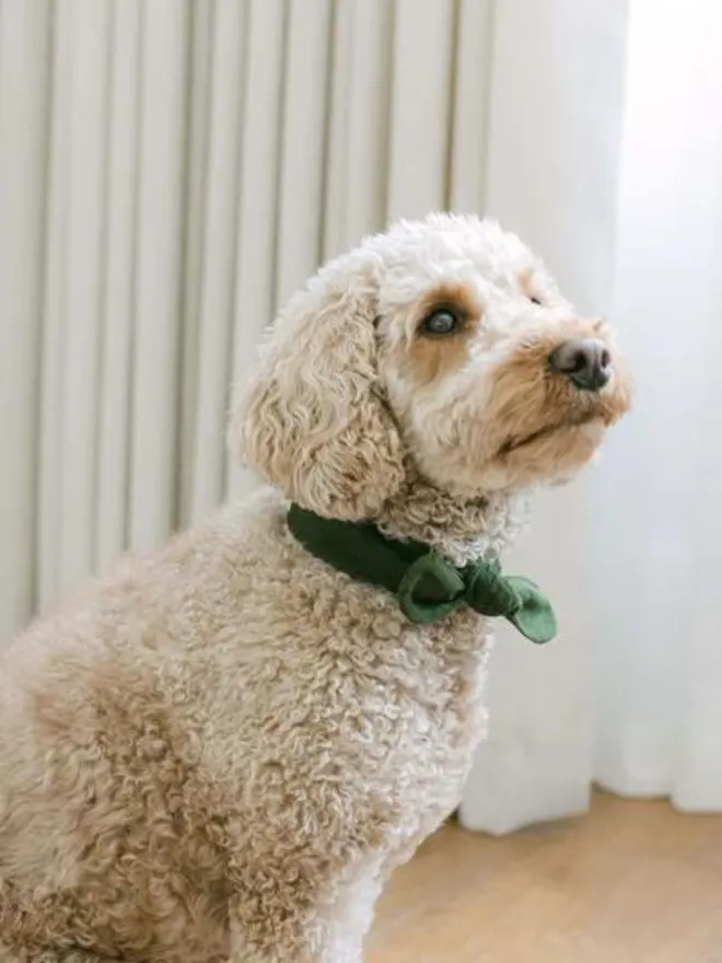 Handmade Corduroy Dog Necktie