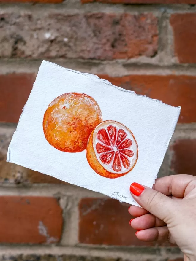 Katie Tinkler illustration of a grapefruit.