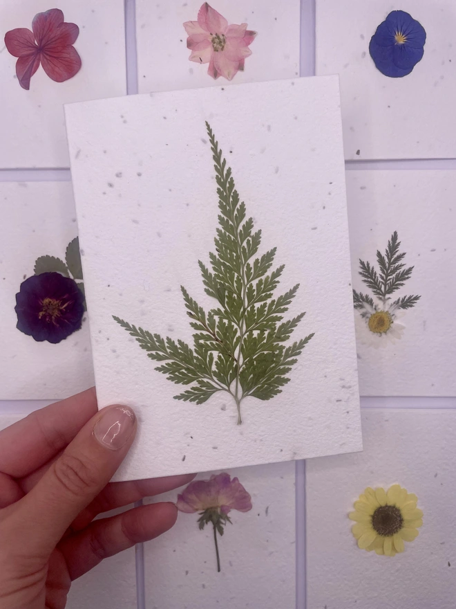 Real Pressed Flower Plantable Card, Fern