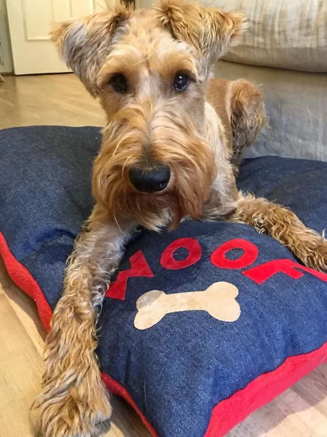 Denim Dog Bed with Red Woof