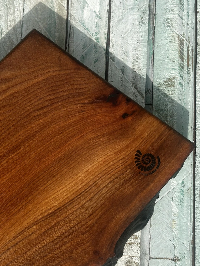 Elm long board