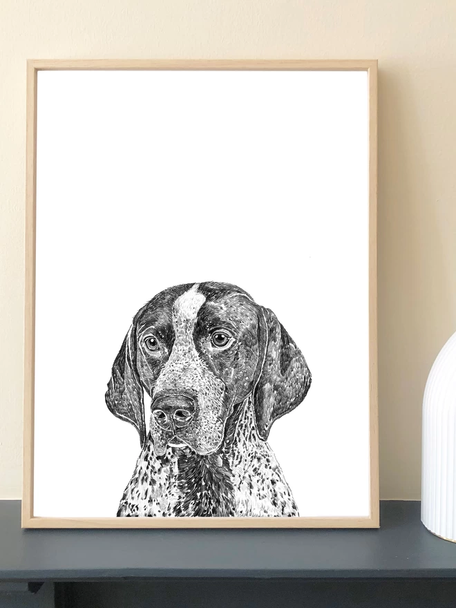 Art print of a hand drawn portrait of an english pointer displayed in a frame