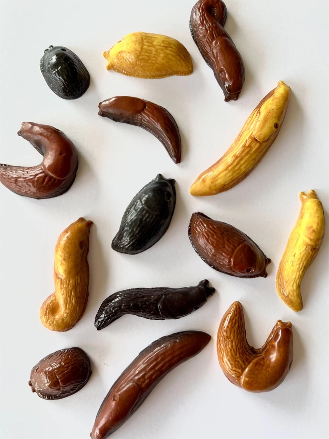 Solid chocolate slugs in various slimy poses on white background