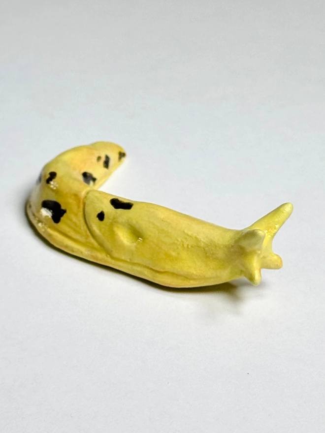 Banana Slug IIII