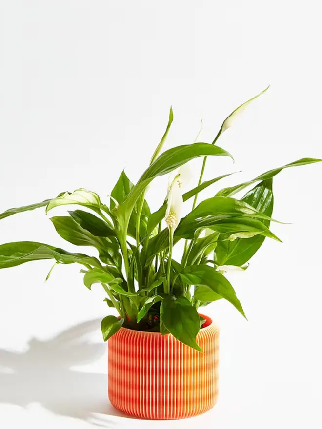 Sustainable 3D Printed Coral Orange Plant Pot, turbin design against a white background.