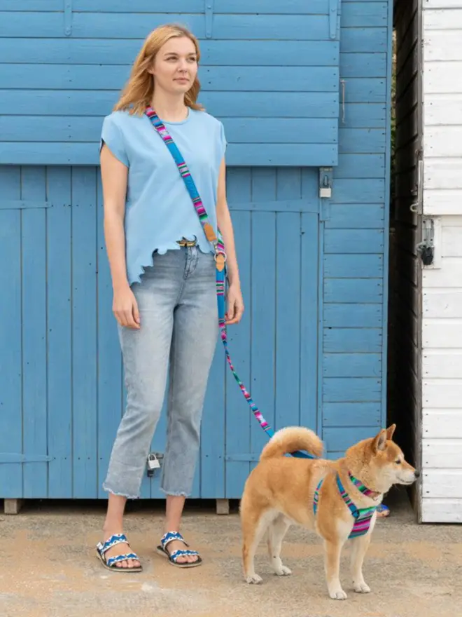 Blue hands free dog lead worn across the body