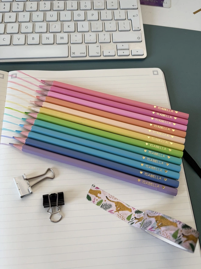 Pastel Colouring Pencils