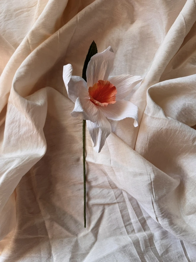 Paper Daffodil