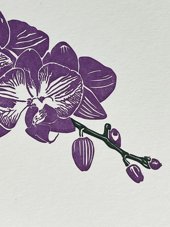 Close up of a beautiful purple orchid on card that is 100% recycled and recyclable