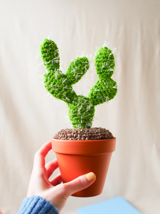 Handmade spiky crocheted cactus in terracotta pot
