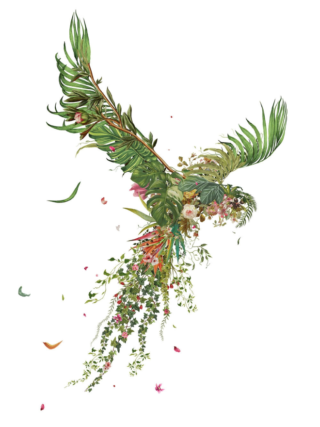 Beautiful pigeons print