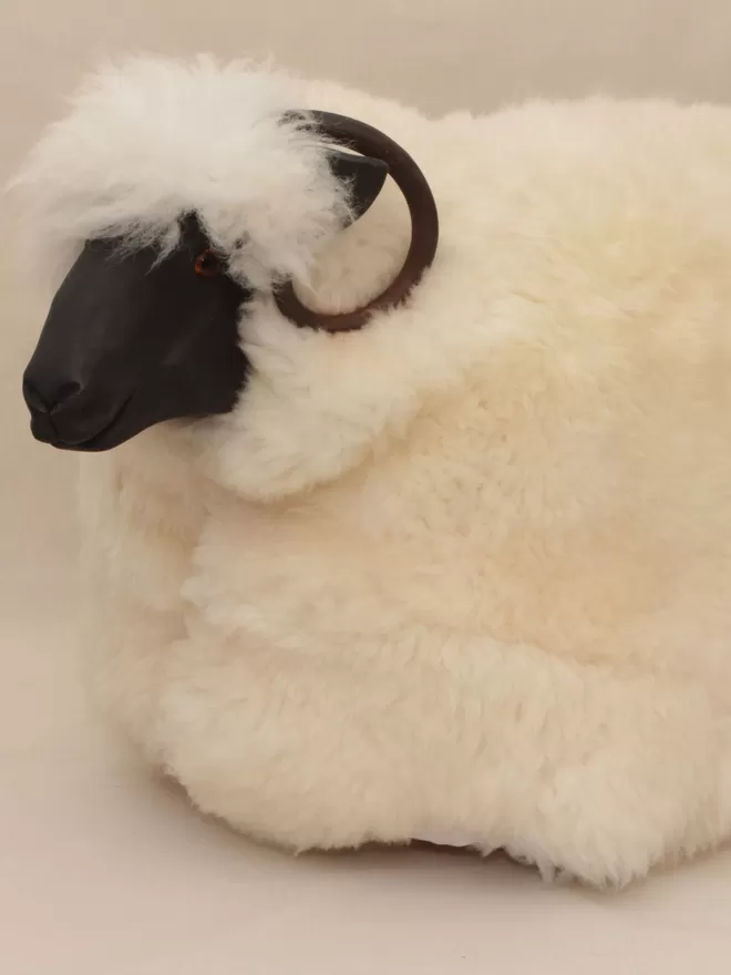 Stan the Ram with white fluffy fur and black horns and snout