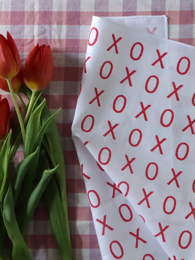 Mr.PS Hugs and Kisses in red laid on a gingham tablecloth alongside some red tulips