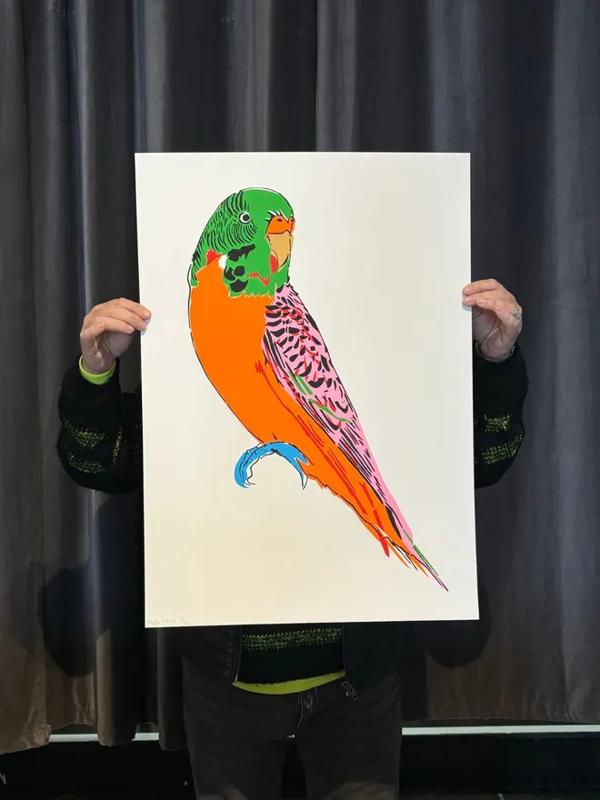 Budgerigar Screenprint - Orange