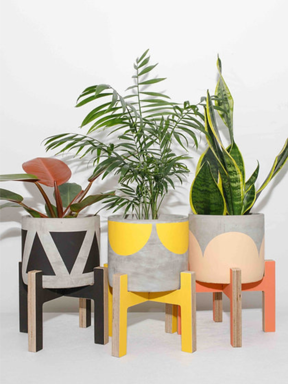 plywood coloured plant stand. three coloured plant stands holding concrete plant pots with matching paint colours in black, yellow and pink.