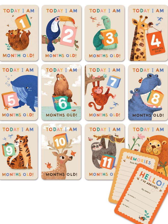 illustrated animal themed baby milestone cards by Emily Nash Illustration- postcard keepsake multipack for babies