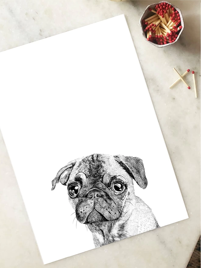 Art print of a hand drawn illustration of a pug dog laying on a table