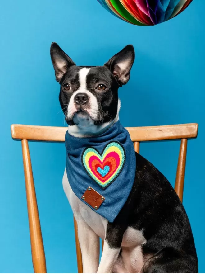Love Dog Bandana Neckerchief | Heart
