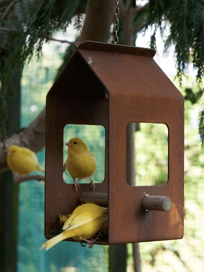 Corten Bird Feeder, birds within handing bird feeder in garden. 