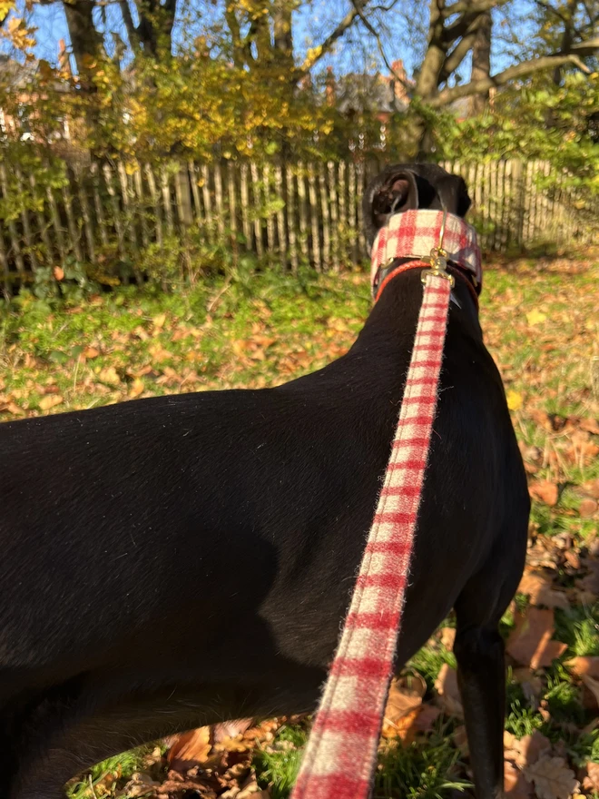 Raspberry Porridge Tweed Dog Lead