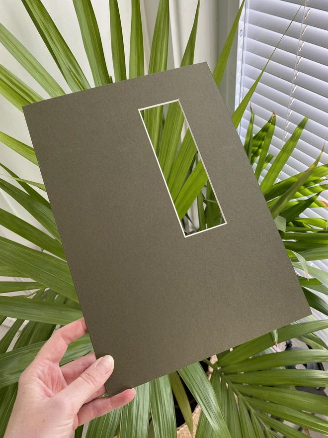 LNN's olive green photo strip / photo booth mount