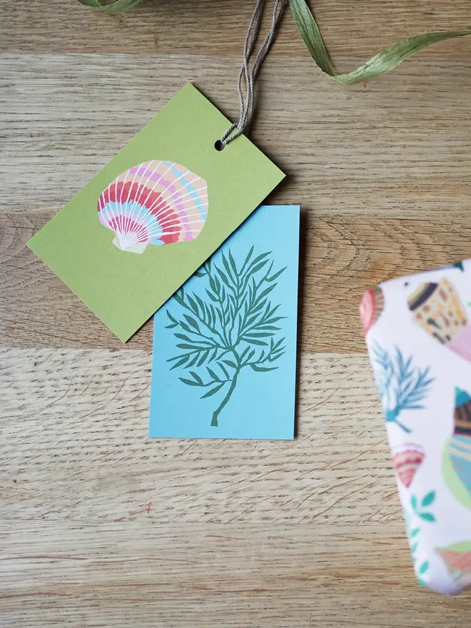 illustrated shells gift tags