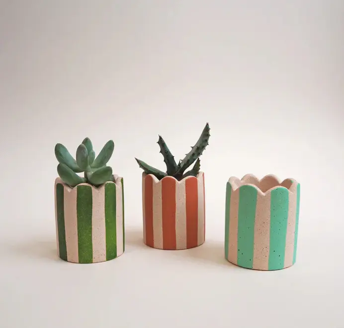 Mini Scalloped Stripy Plant Pot. Three small white ceramic pot with vertical coloured stripes set against a plain light background.