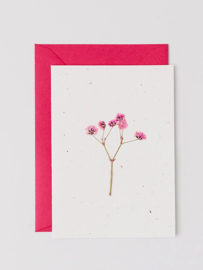 Pressed Flower Notecard, Pink Gypsophila