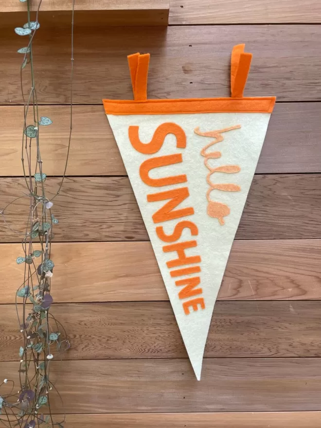 Hello Sunshine Pennant Flag displayed on a wooden wall.
