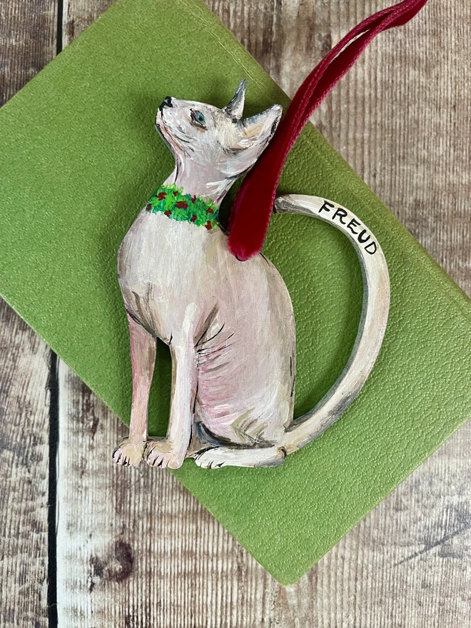 Hairless Sphynx Cat with the Name Freud Painted in Black on the tail, hung with red velvet ribbon and placed on a green book 
