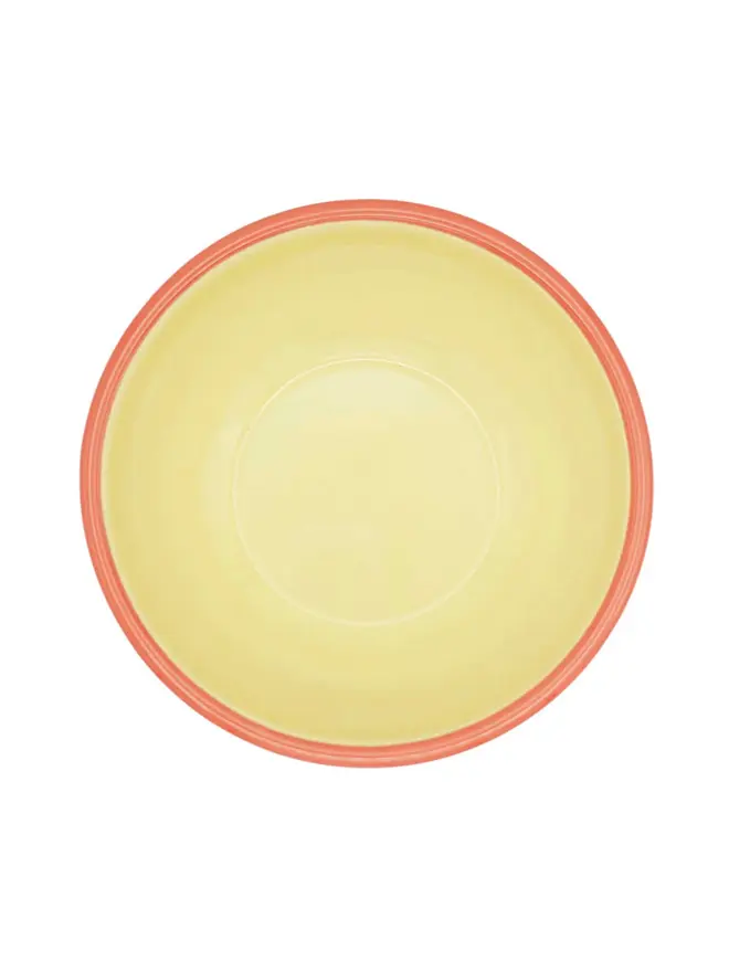 Mustard & Lemon Enamel Bowl, an enamel bowl sitting on a plain white surface
