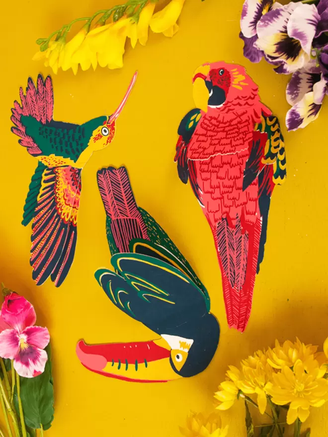 Close-up, detailed shot: hummingbird, toucan and parrot greeting cards