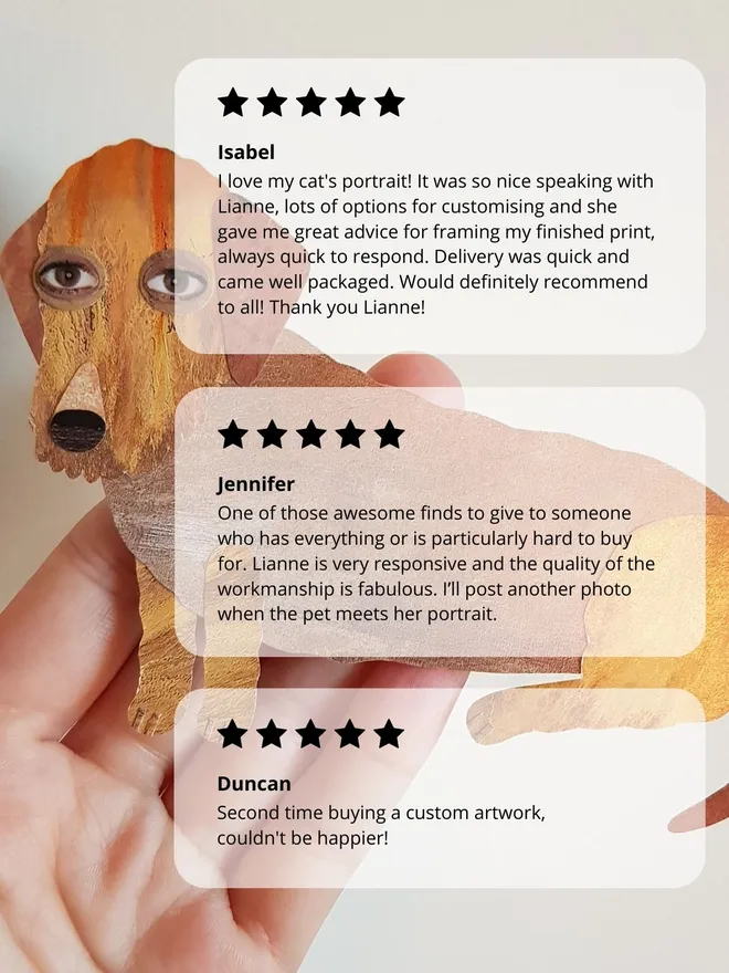 Reviews from happy customers who have purchased a Lianne Harrison collage pet portrait