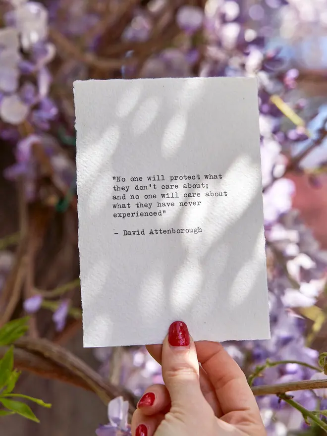 David Attenborough Quote Typewriter A6 Print againts a flower background 
