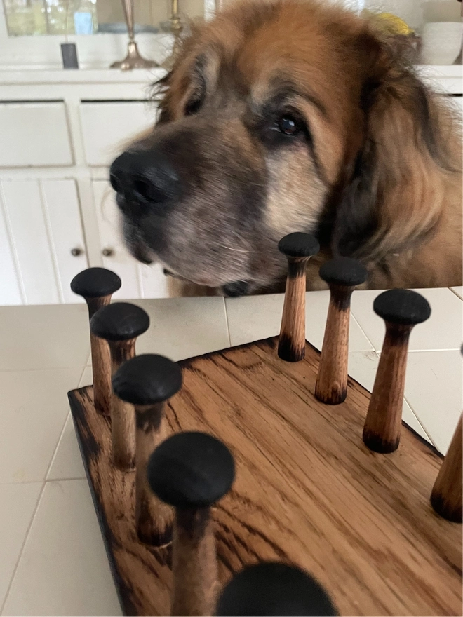 Wooden toast rack