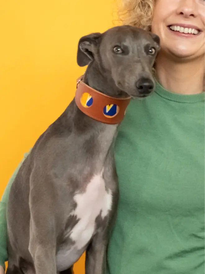 Kente hound collar