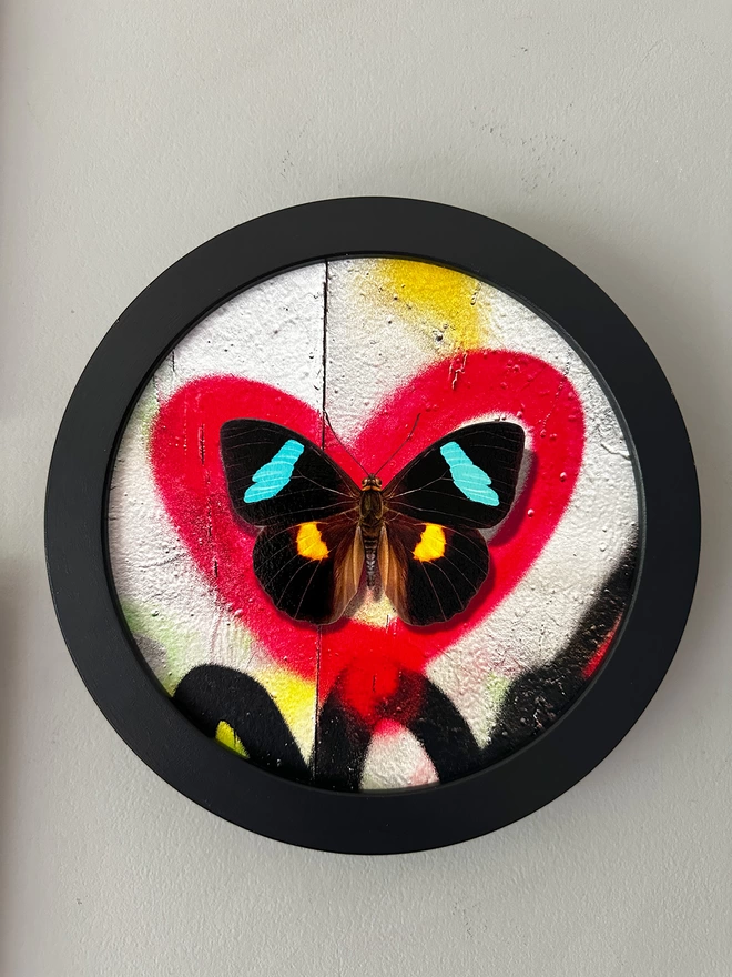Butterfly on graffiti red heart spray paint in a black circular frame hanging on a wall