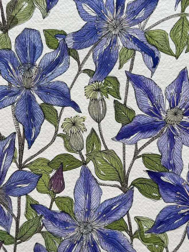 Clematis ‘Arabella’ in a delft vessel