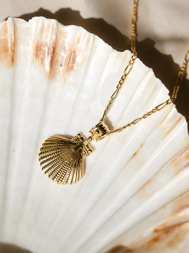 Gold vermeil clam shell pendant on figaro chain photographed on white shell