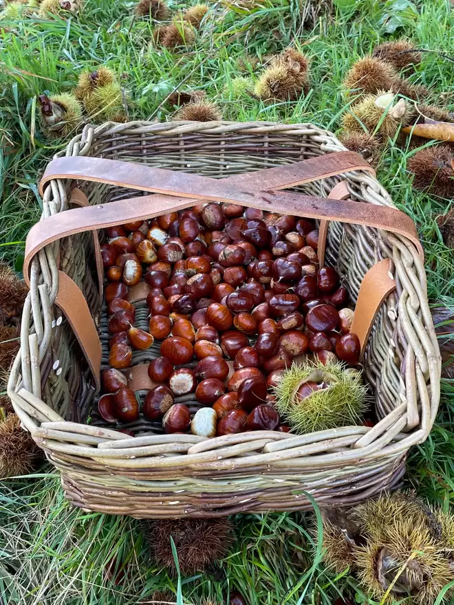 willow garden basket trug contemporary traditional foraging modern leather cross strap handle basketry brown handcrafted craft forage