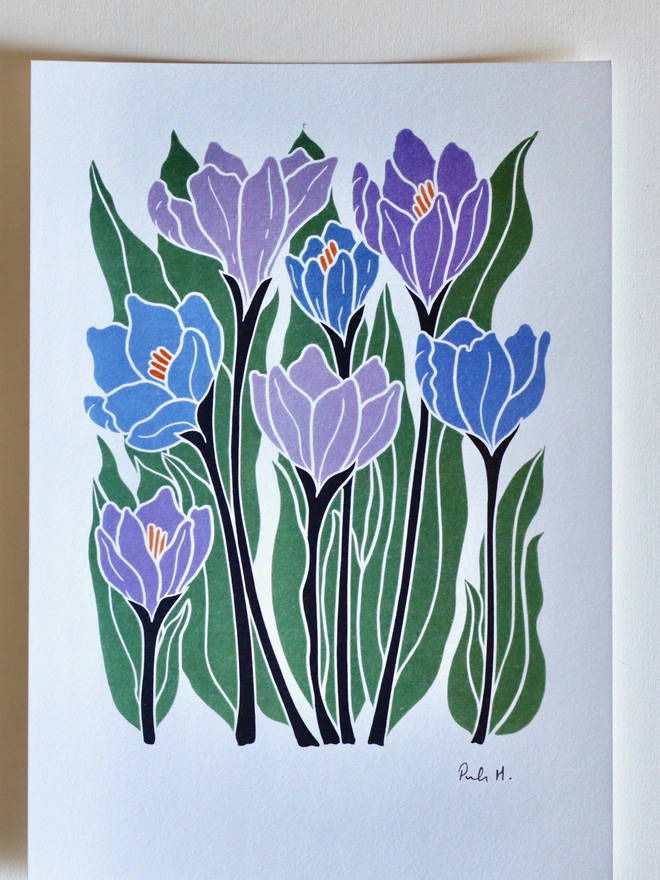 Joy Bloom crocus flower A4 art print on cotton paper.