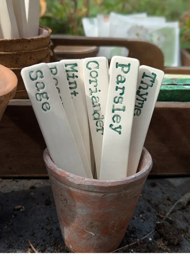 Ceramic herb labels, set of 8 in a plant pot in the greenhouse
