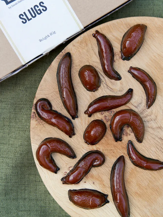 Chocolate Slugs 