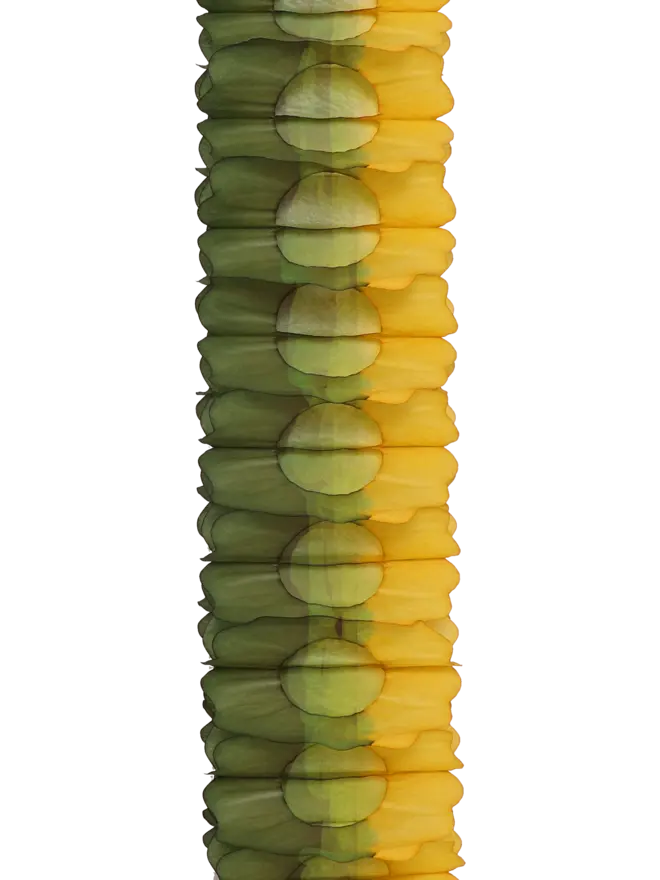 Two-Tone Garland 4m, Moss & Mustard