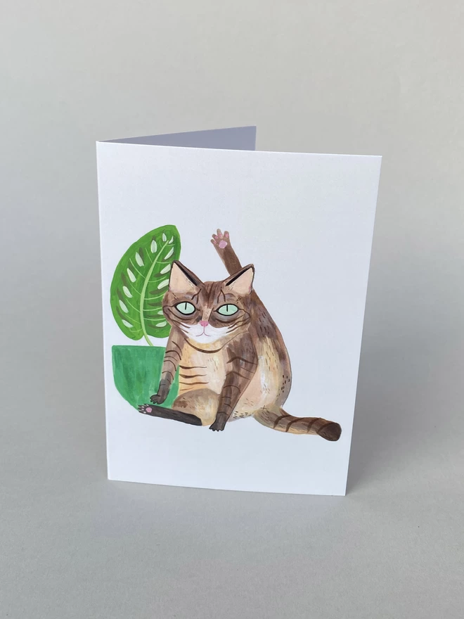 An illustrated tabby cat with its leg in the air locking eyes ready to lick itself next to an indoor house plant