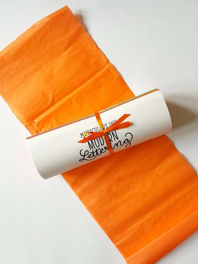 Meticulous Ink Modern Lettering Kit - Top view of scroll with ribbon and tissue