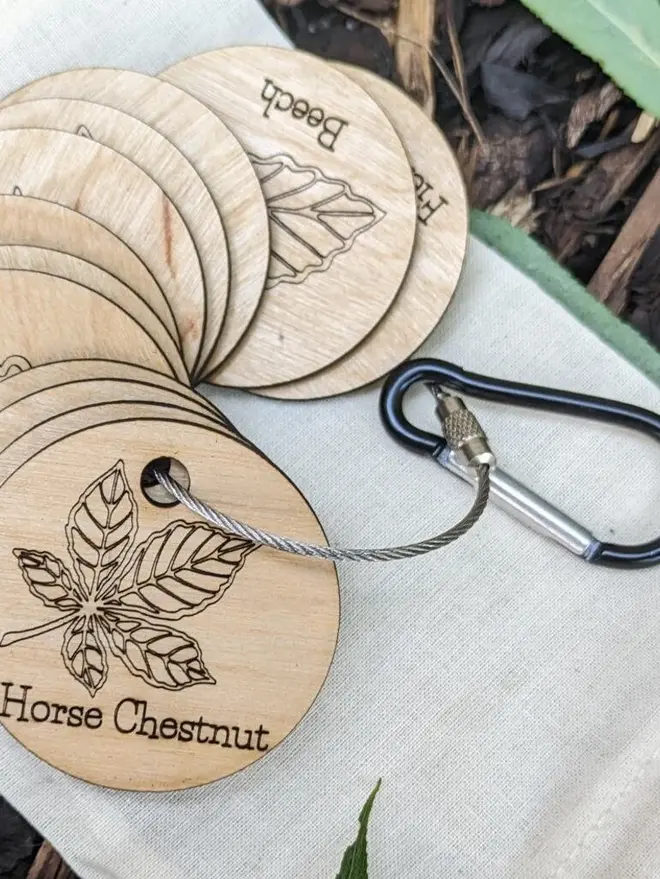 Wooden nature tail scavenger leaf learning discs graved with prompts and nature illustrations, scattered on leaves and forest floor.