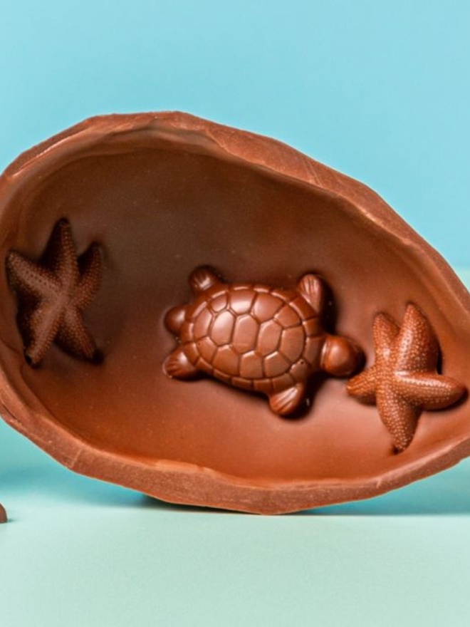 chocolate ocean turtle easter egg