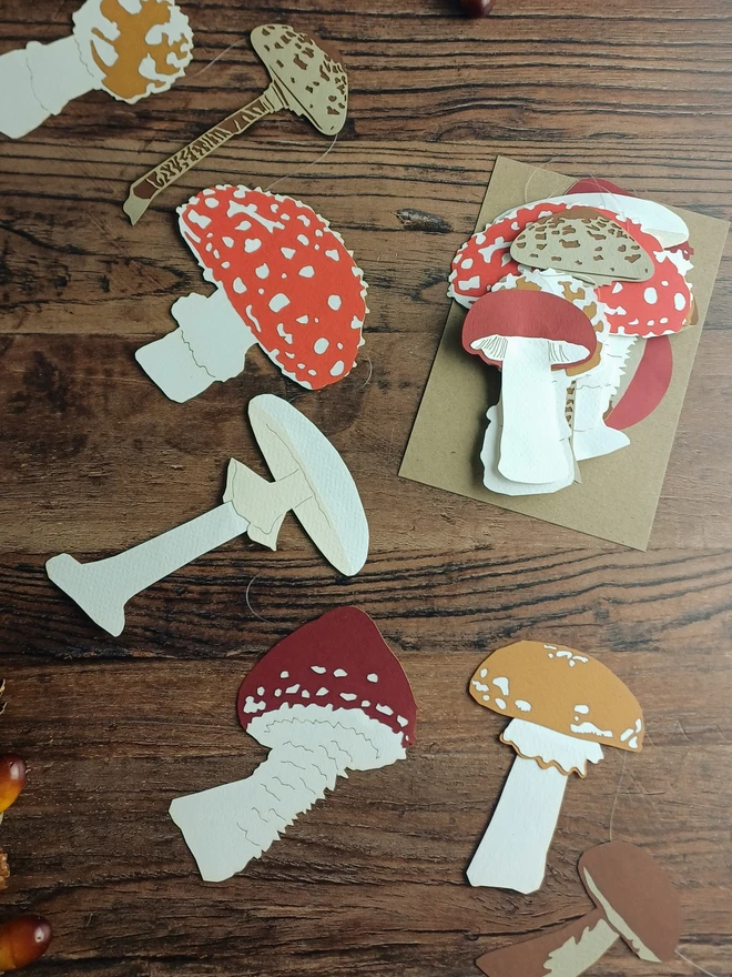 Mushroom and Toadstool Garland spread out on table and also shown in packagin