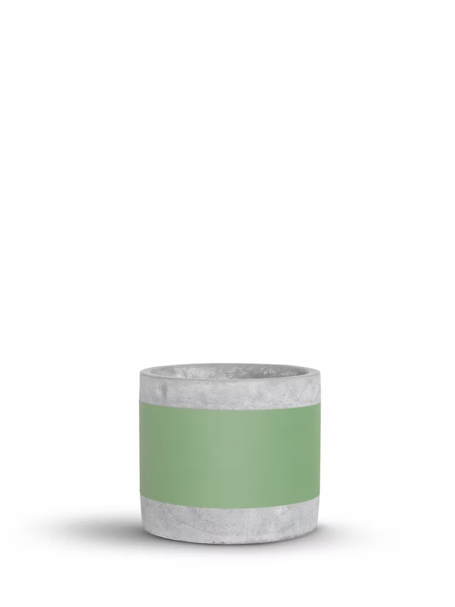 coloured middle concrete plant pot. a grey concrete plant pot with a green stripe around the middle.